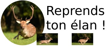 Reprends ton élan